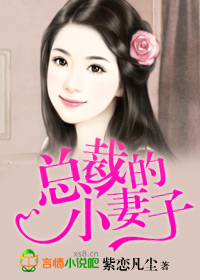 总裁的妻子离婚一年后完整版