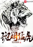 《斑斓猛虎》