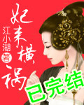 妃来横祸第11集