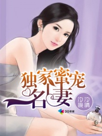 独家宠婚重生名门贵妻