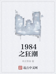 1984之狂潮小说